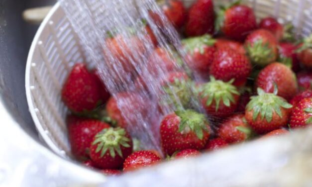 Step By Step on How to Freeze Strawberries