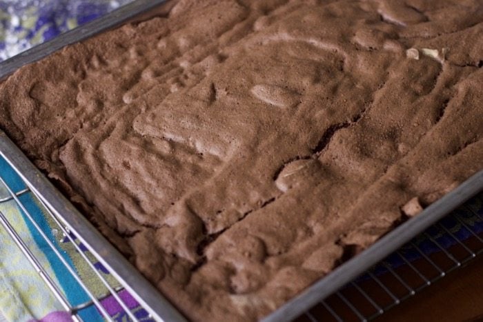 Baked jelly roll cake in the pan