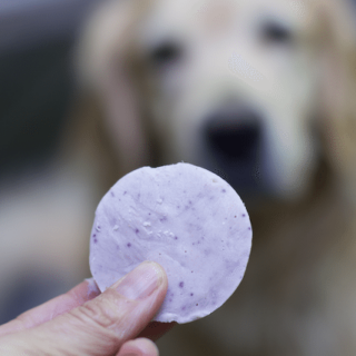 How to make Frosty Paws or Homemade Frozen Dog Treats 2