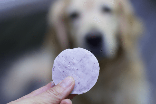 dog ice cream holder  Frosty paws, Frozen dog treats, Diy dog treats