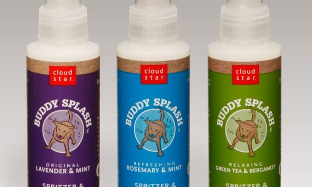 Everyday Dog Grooming Tips to Keep Dog Smelling good