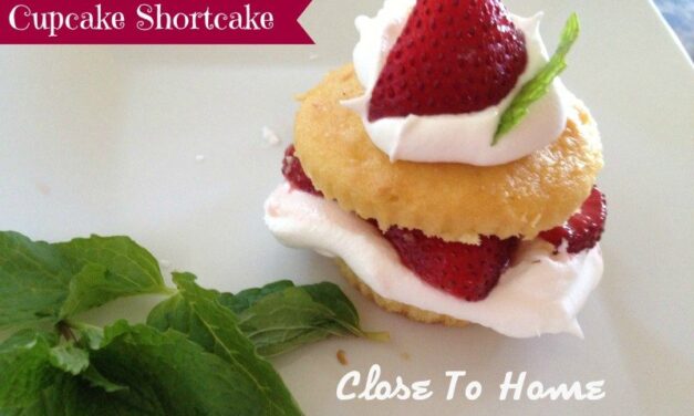 Super Easy Strawberry Shortcake Recipe – Any fruit works