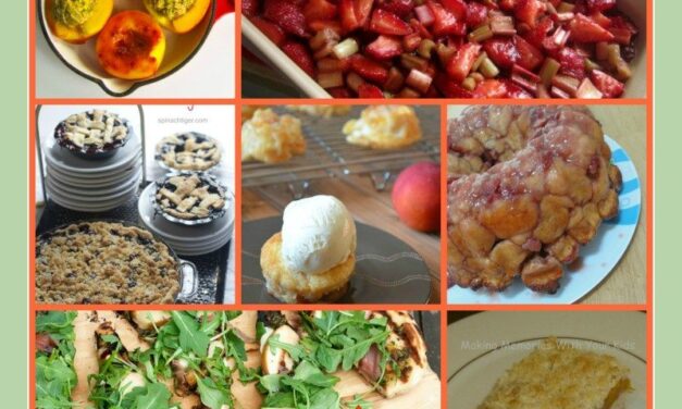 Best Summer Fruit Recipes  Strawberry, Blueberry, Peaches and Plums