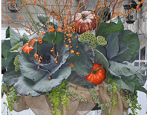 Four Fabulous Autumn Decorating Tips for your Home