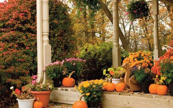 Home Fall Decorating Ideas:  Be Inspired by Nature