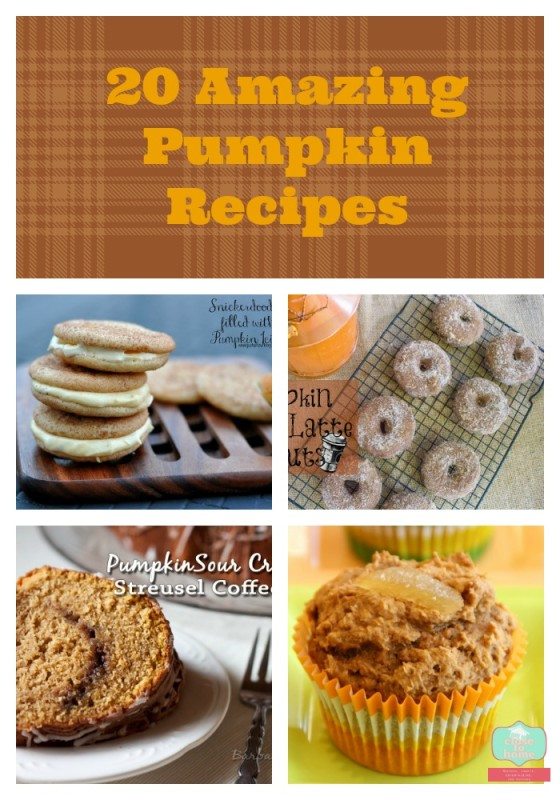 Pumpkin Pie Streusel Muffins and 15 Amazing Pumpkin recipes