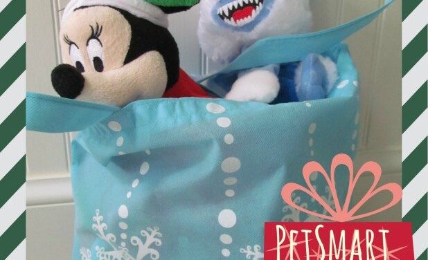 Great Holiday Presents for your Pets