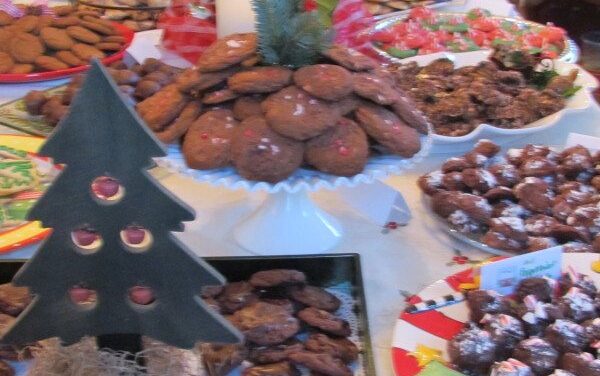 Double Chocolate Peppermint Cookie Recipes