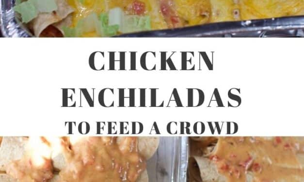Make ahead Dinners Ideas: Easy Chicken Enchilada Recipe