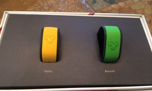 What are the Benefits of Staying at Disney Resorts