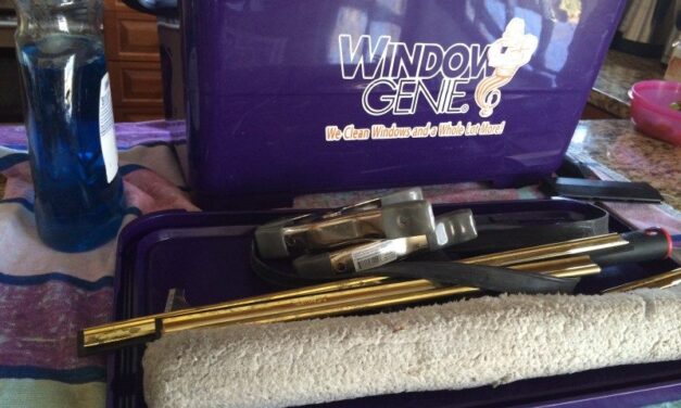 Spring Cleaning made easy with Window Genie Services