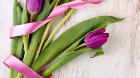 spring decor ideas