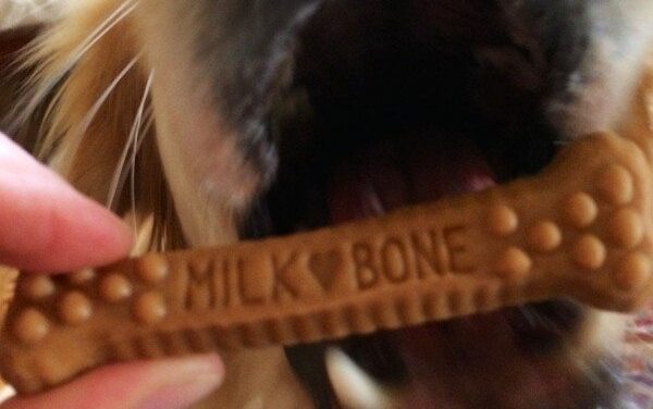 Milk Bone  Brushing Chews