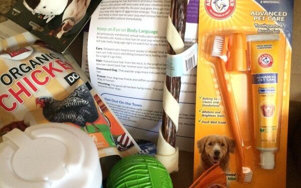 Have a new puppy?  Check out Pup Box Subscription Box
