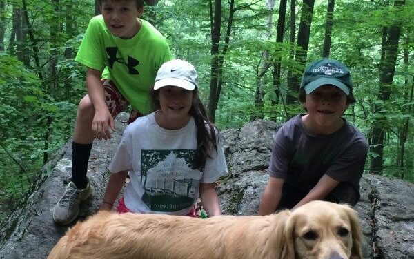 Facts about Ticks in Virginia