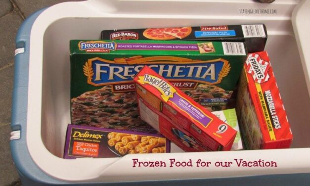 The Best Frozen Foods to take on Vacation