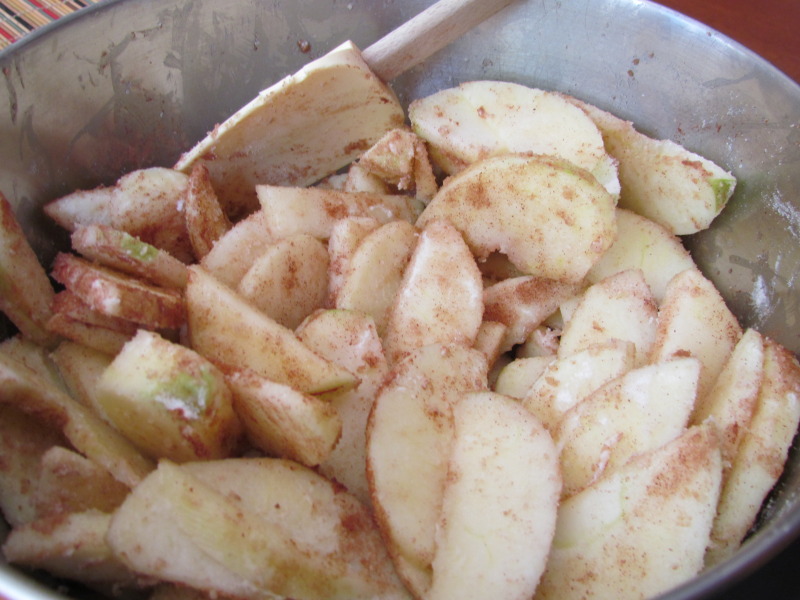 apples sliced in a bowl with spiced on top
