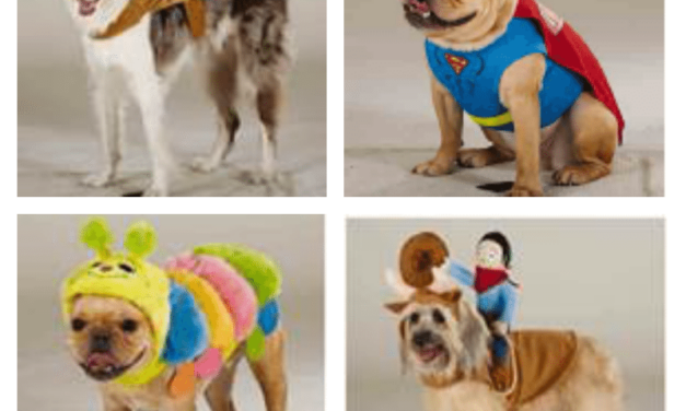 Celebrate Halloween with your Pets