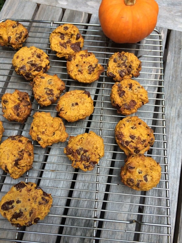 pumpkin cookie recipe