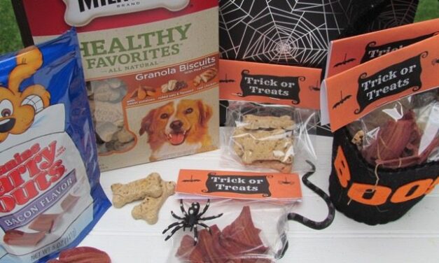 DIY Halloween Pet Treat Bags