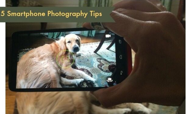 5 Smartphone Photography Tips