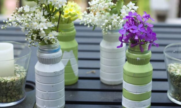 Easy Craft Ideas with Plastic Bottles & SunnyD