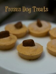 frozen-dog-treats