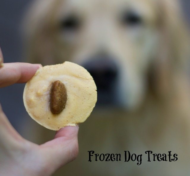 frozen homemade dog treats