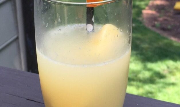 Homemade Orange Soda and Benefits of Drinking 100% Florida Orange Juice