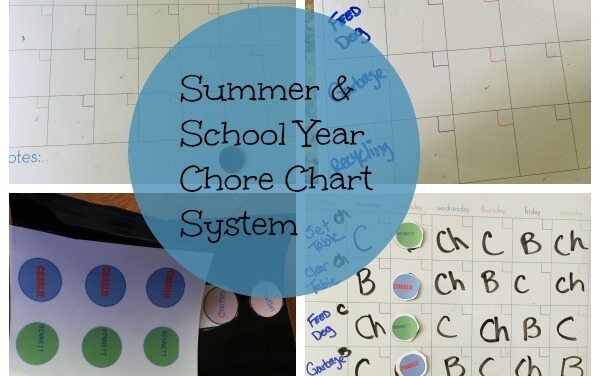 Summer Cleaning Tips With Chore Charts Ideas