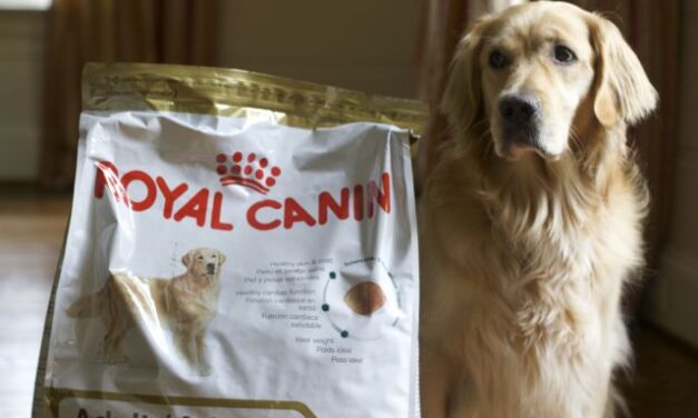 Why Feed your Dog Breed Specific Dog Food