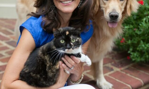 6 Tips For Taking Photos of Dogs and Cats