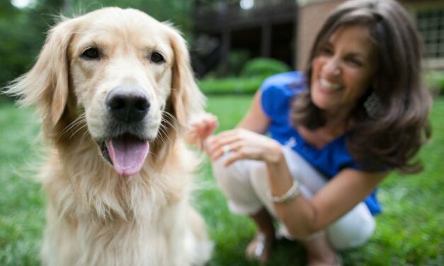 Dog Training Challenge