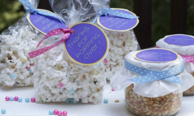 Baby Shower Party Favor Ideas For A Baby Sprinkle