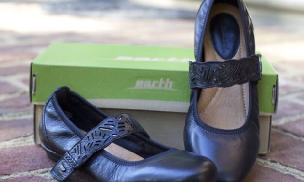 Fashion and Comfort found in Earth Footwear