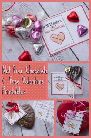 Nut Free Valentines and Free Valentines Printable - Staying Close To Home