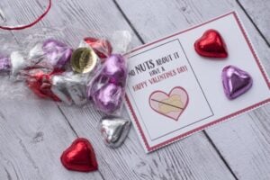 nut free valentines