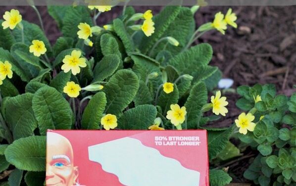 Spring Cleaning Hacks with Mr Clean Magic Eraser