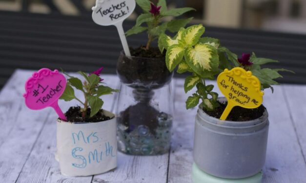 Teacher Appreciation Ideas: Recycled Planters