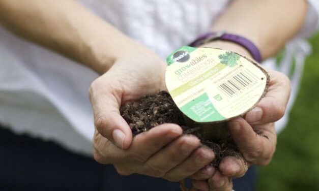 Start your Garden with Miracle-Gro Gro-ables