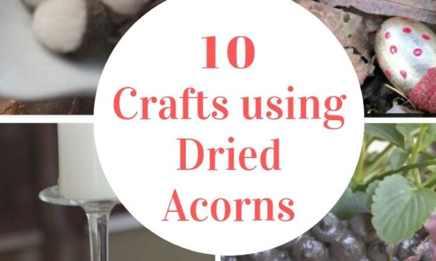How to Use Dried Acorns For Fall Decor and Fall Crafts