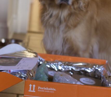 Online Meal Kit with No Subscription with Chef’d