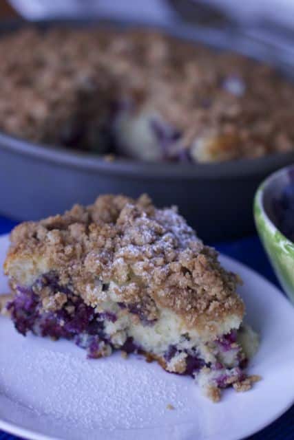 low fat blueberry crumb Cake Recipe
