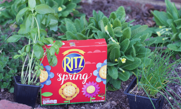 Two Spring Herb Garden Inspired Snacks