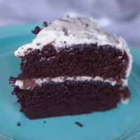 Moist Chocolate Cake with Chocolate Chip Frosting
