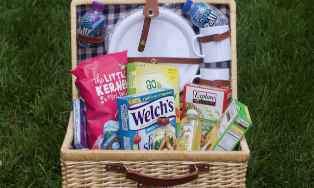Kid Friendly Picnic Basket Essentials for A Picnic With Kids