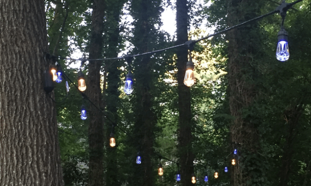 Brighten Up Outdoor Party Space With Color Changing LED Rope Lights!