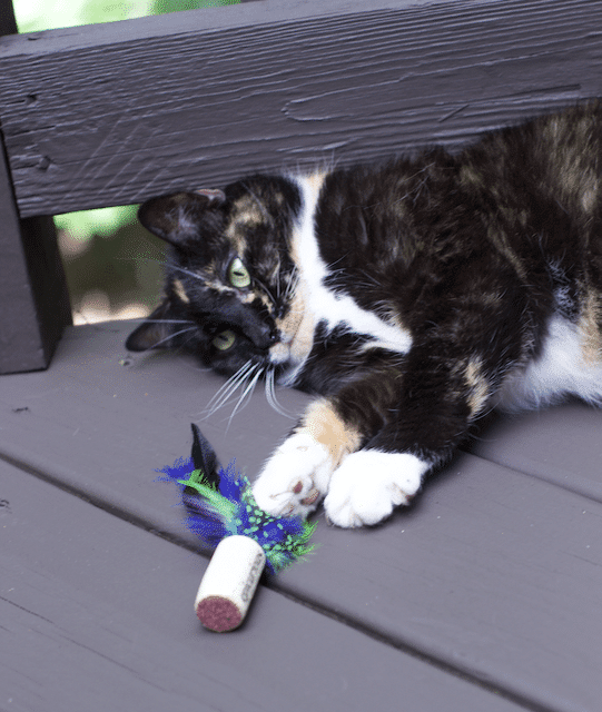 DIY Inexpensive Feather Cork Cat Toys