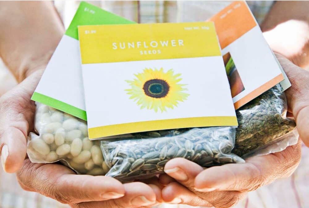 Five Flower Seed Packets That Are Easy To Grow