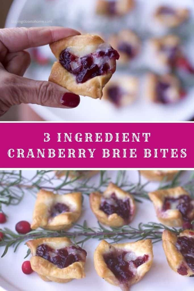 3 Ingredient Cranberry Brie Bites Recipe for A Crowd